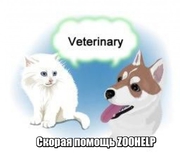 Сеть ветеринарных клиник ZooHelp